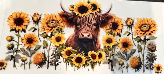 Sunflower Highland Cow