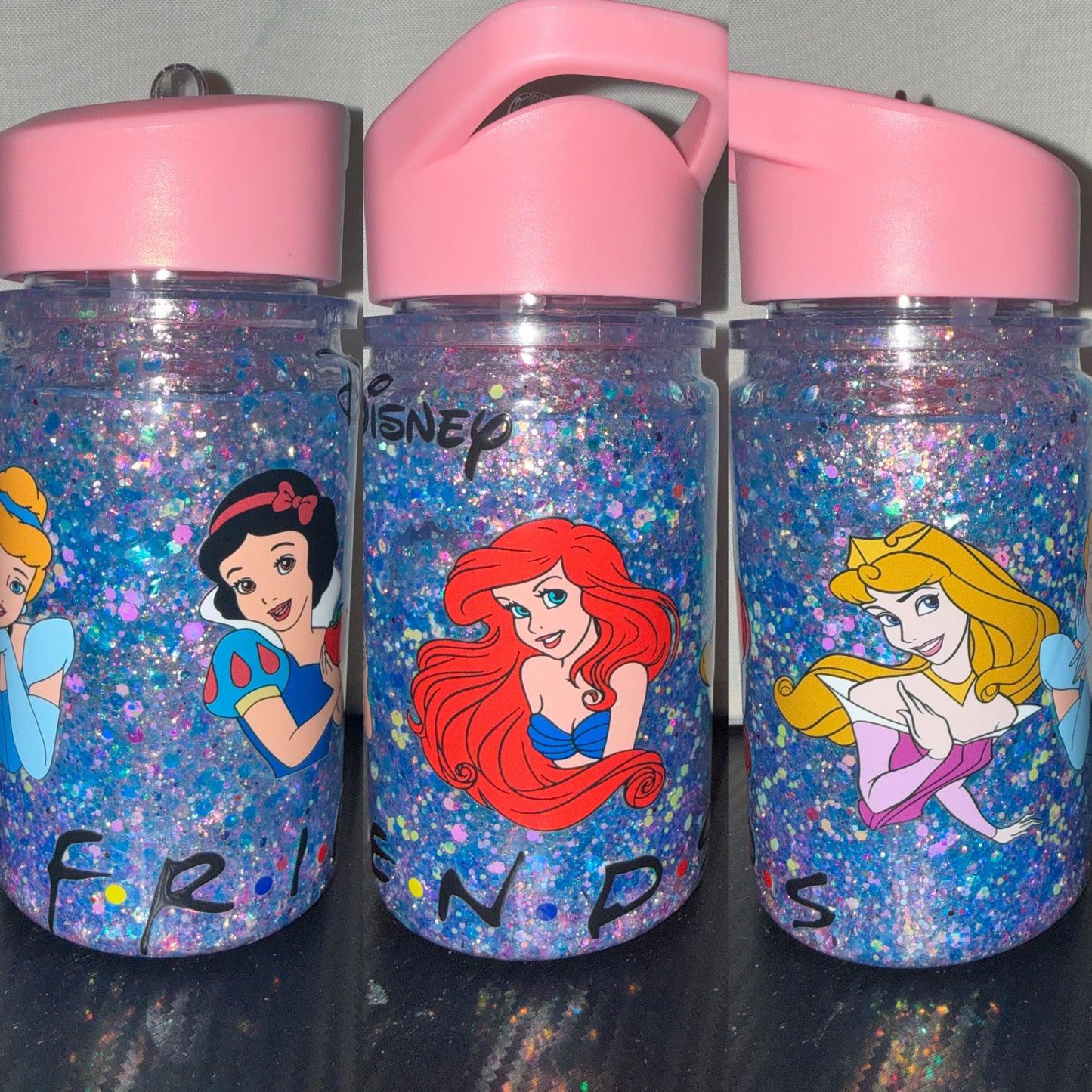 Disney Princess Friends